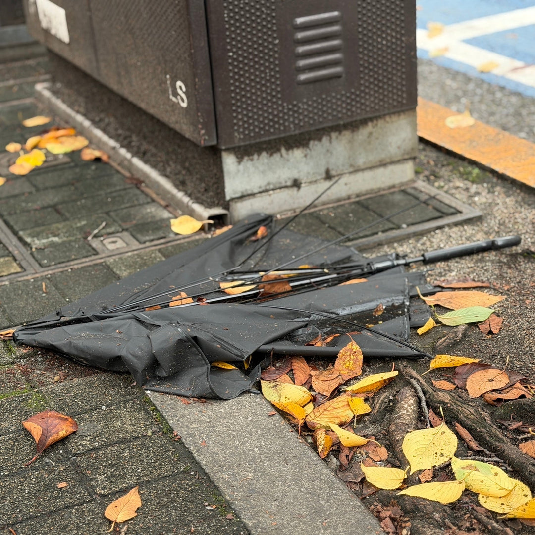 長雨のあとに届く傘と、道具の「めぐり」