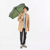 【数量限定-特別価格】Smooth Automatic